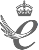 ویتابیوتیکس