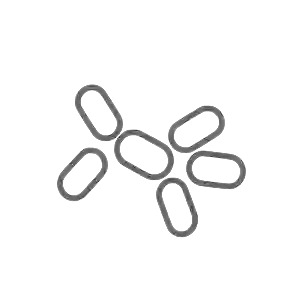 ویتابیوتیکس