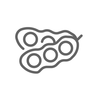 ویتابیوتیکس