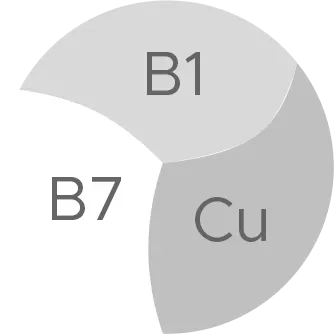 ویتابیوتیکس