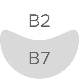 ویتابیوتیکس