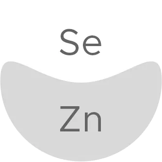 ویتابیوتیکس