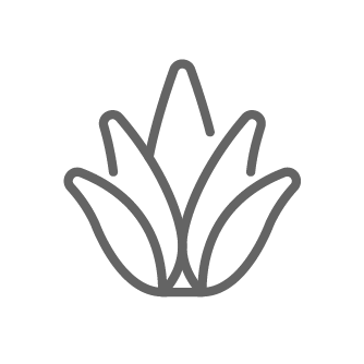 ویتابیوتیکس