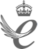 ویتابیوتیکس