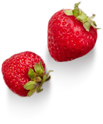 ویتابیوتیکس