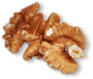 ویتابیوتیکس