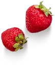 ویتابیوتیکس