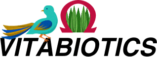 ویتابیوتیکس