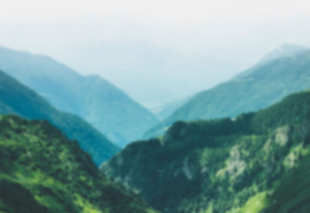 شرکت ویتا آریا